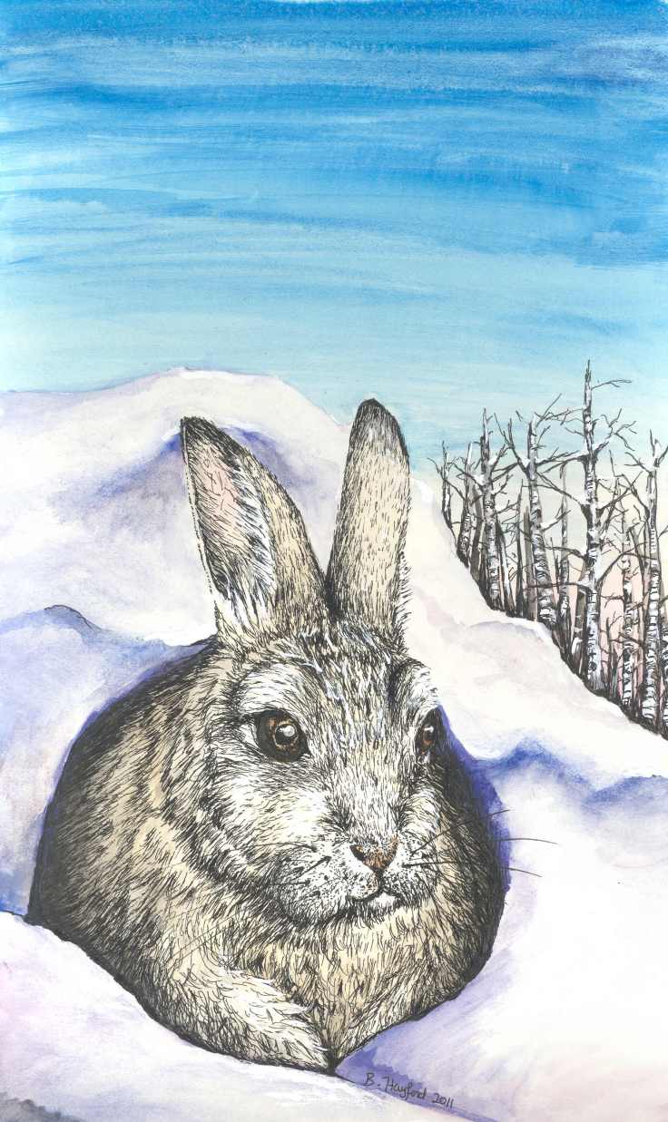 Rabbit new year